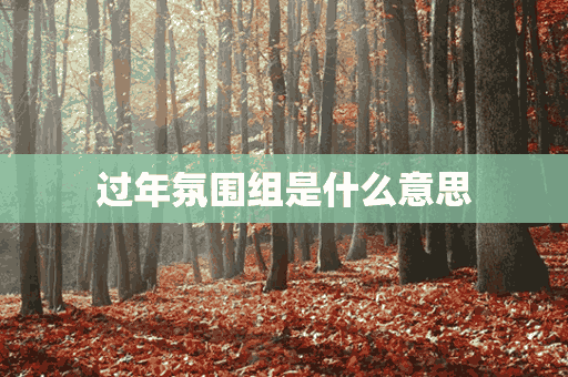 过年氛围组是什么意思(春节氛围组)